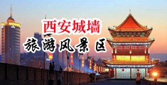 操逼人妻网站进入中国陕西-西安城墙旅游风景区