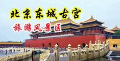 欧美狂野12P中国北京-东城古宫旅游风景区